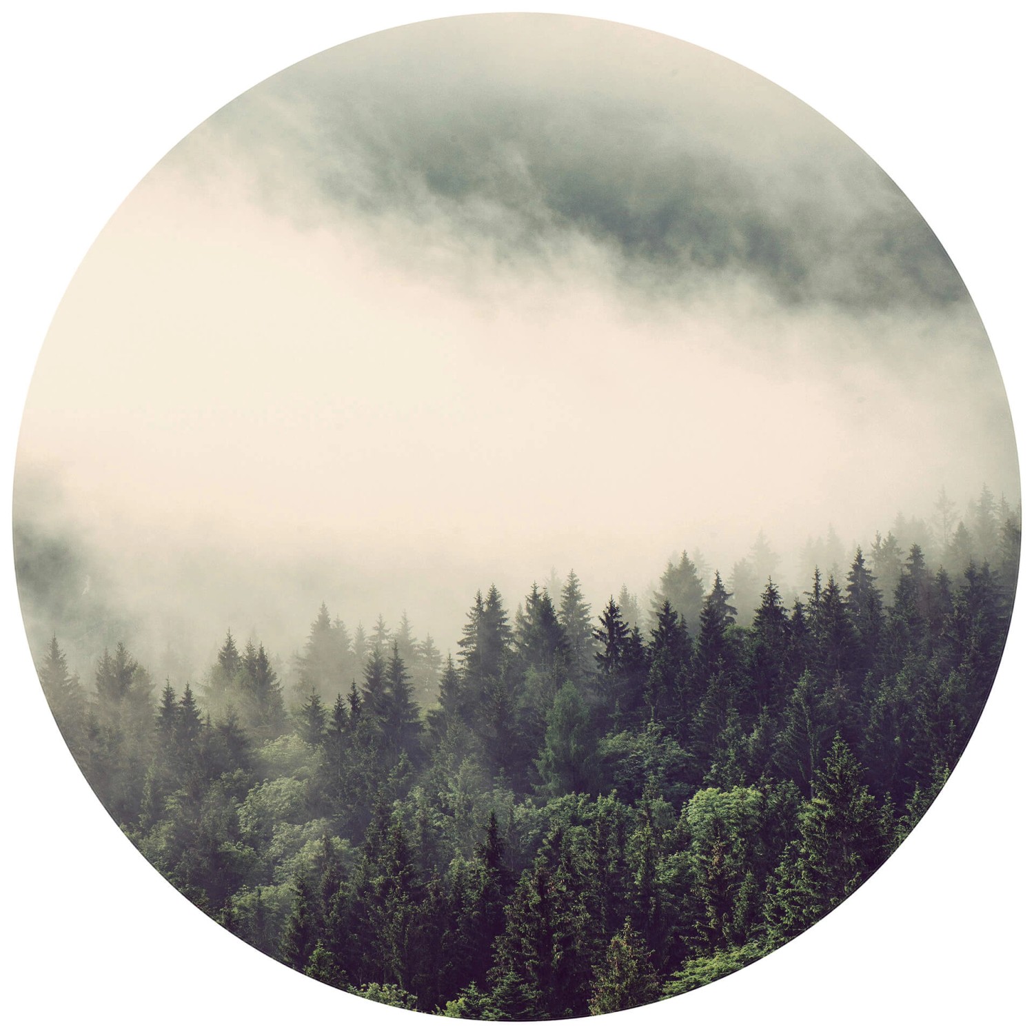 Erfurt Fototapete Vlies Wald im Nebel Ø 140 cm