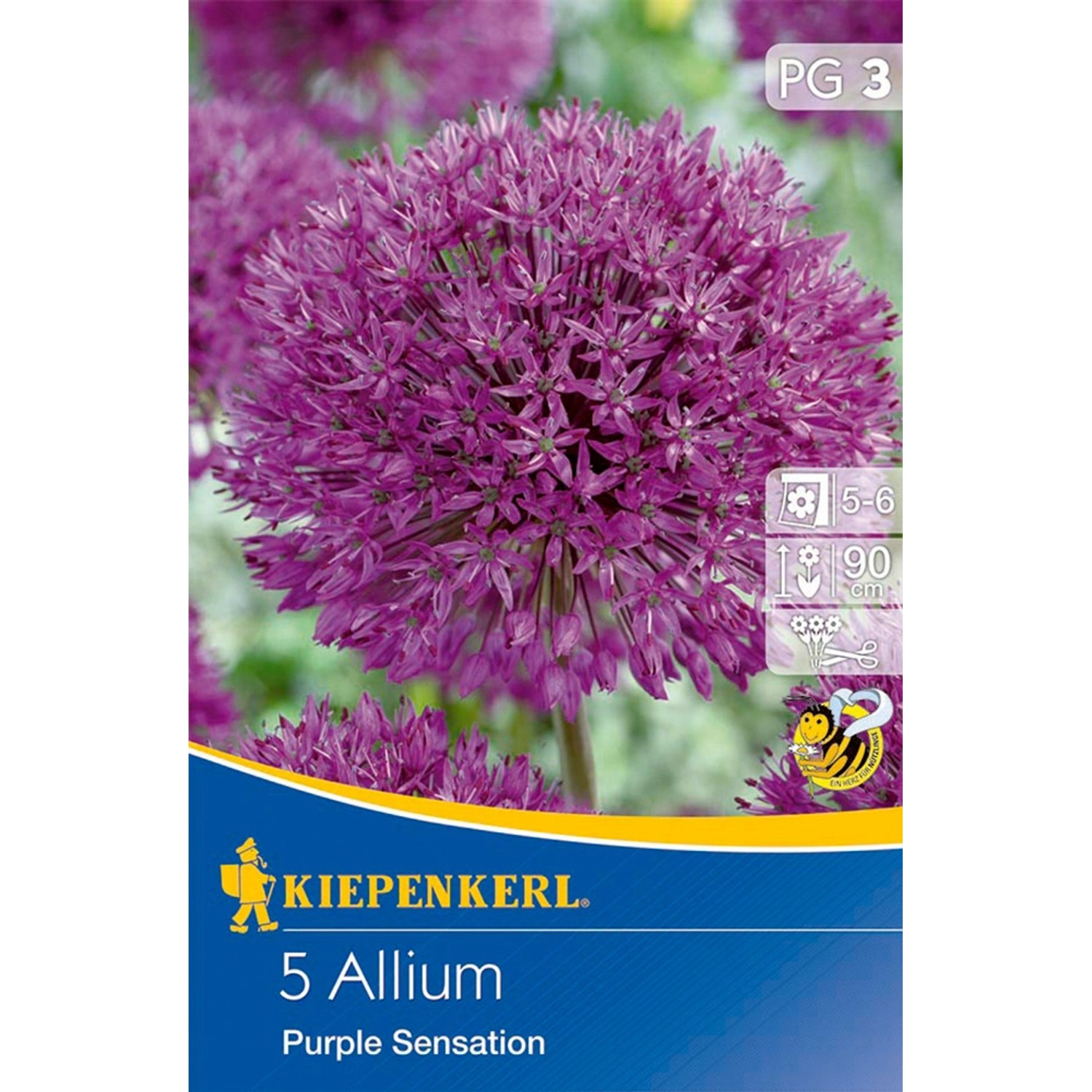 Kiepenkerl Zierlauch Purple Sensation Lila