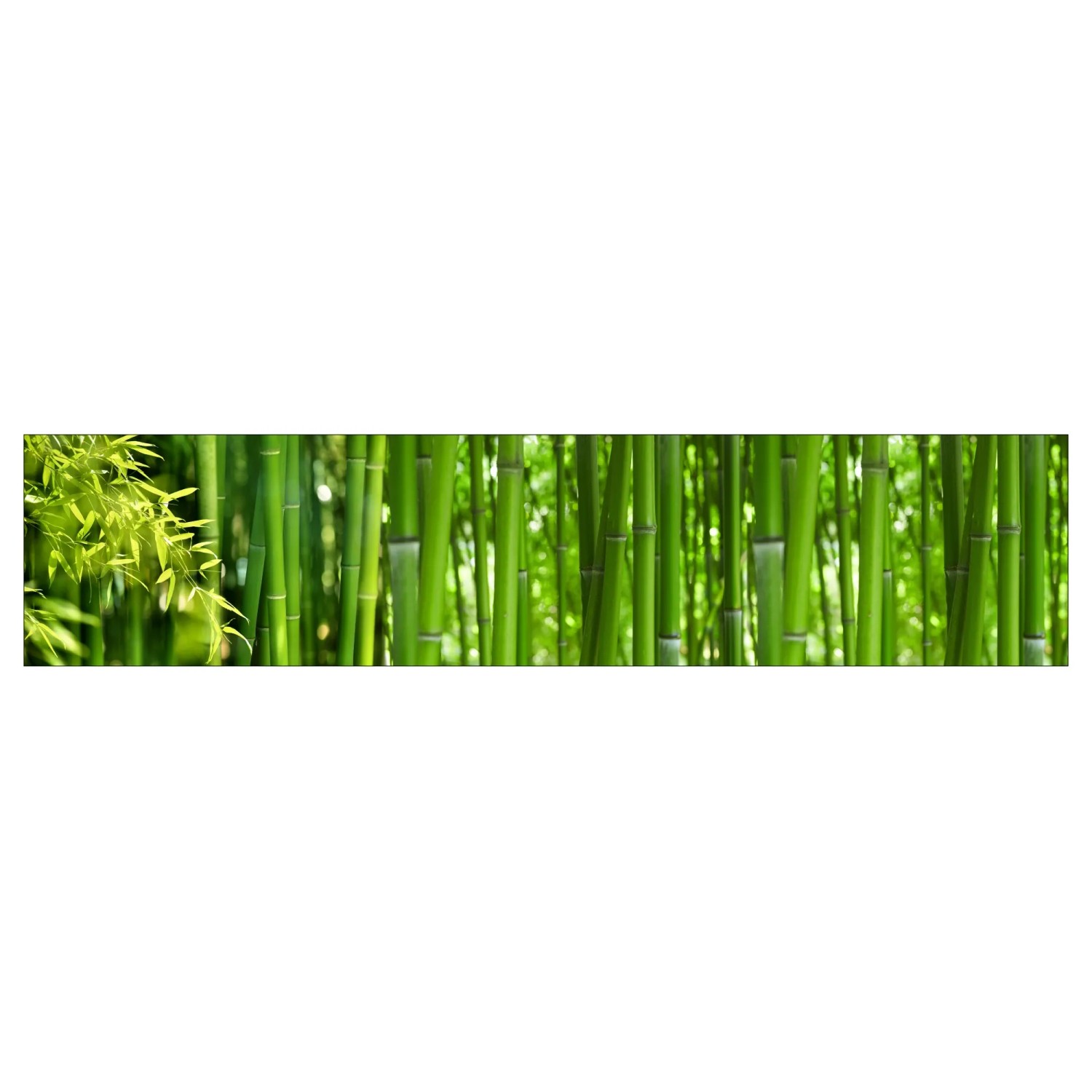 MySpotti Küchenrückwand Profix Cucina Bambus 270 x 60 cm Grasgrün