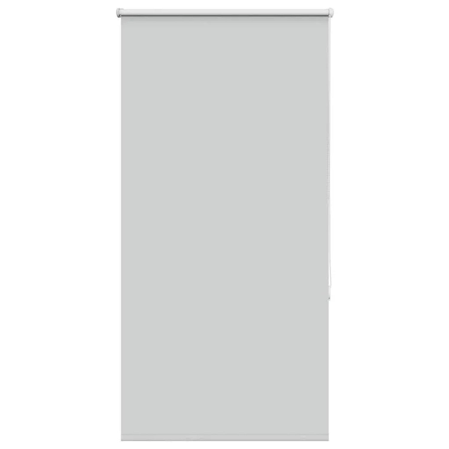 vidaXL Verdunkelungsrollo Hellgrau 65x175 cm Stoffbreite 60,7 cm 4011407