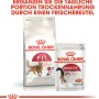 Royal Canin Fit Trockenfutter & Feuchtfutter für aktive Katzen.