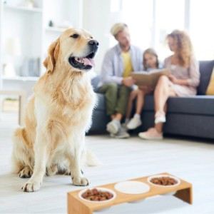 Relaxdays Futterstation für Hunde Bambus Natur Weiß Erhöht Rutschfest 9,5 cm x 46,5 cm x 17 cm 1,3 kg