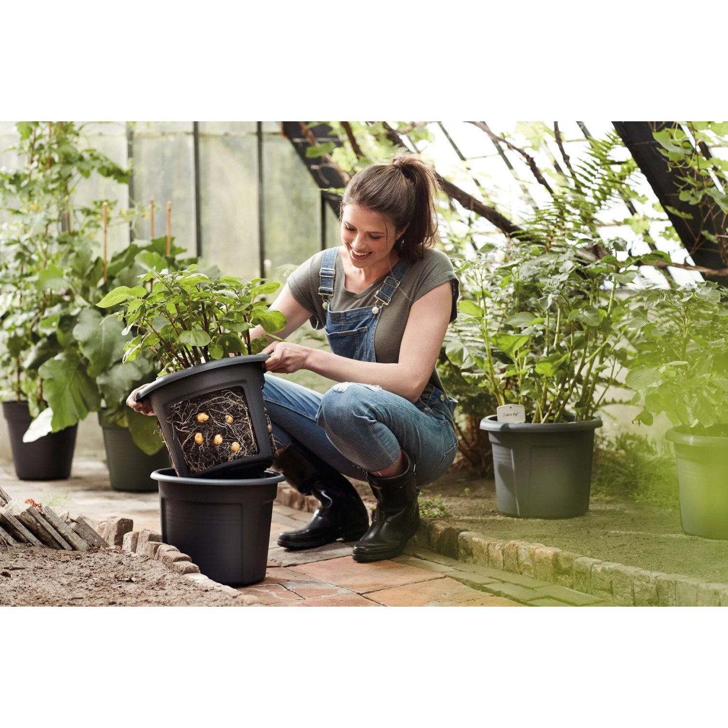 Schwarzer Elho Kartoffeltopf Green Basics Living (Ø 32,3 cm) mit Frau beim Bepflanzen im Gewächshaus.