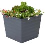 Anthrazitfarbener WaterUps Pflanzkübel (48x48x43 cm) mit Bepflanzung, ideal für Hochbeete.