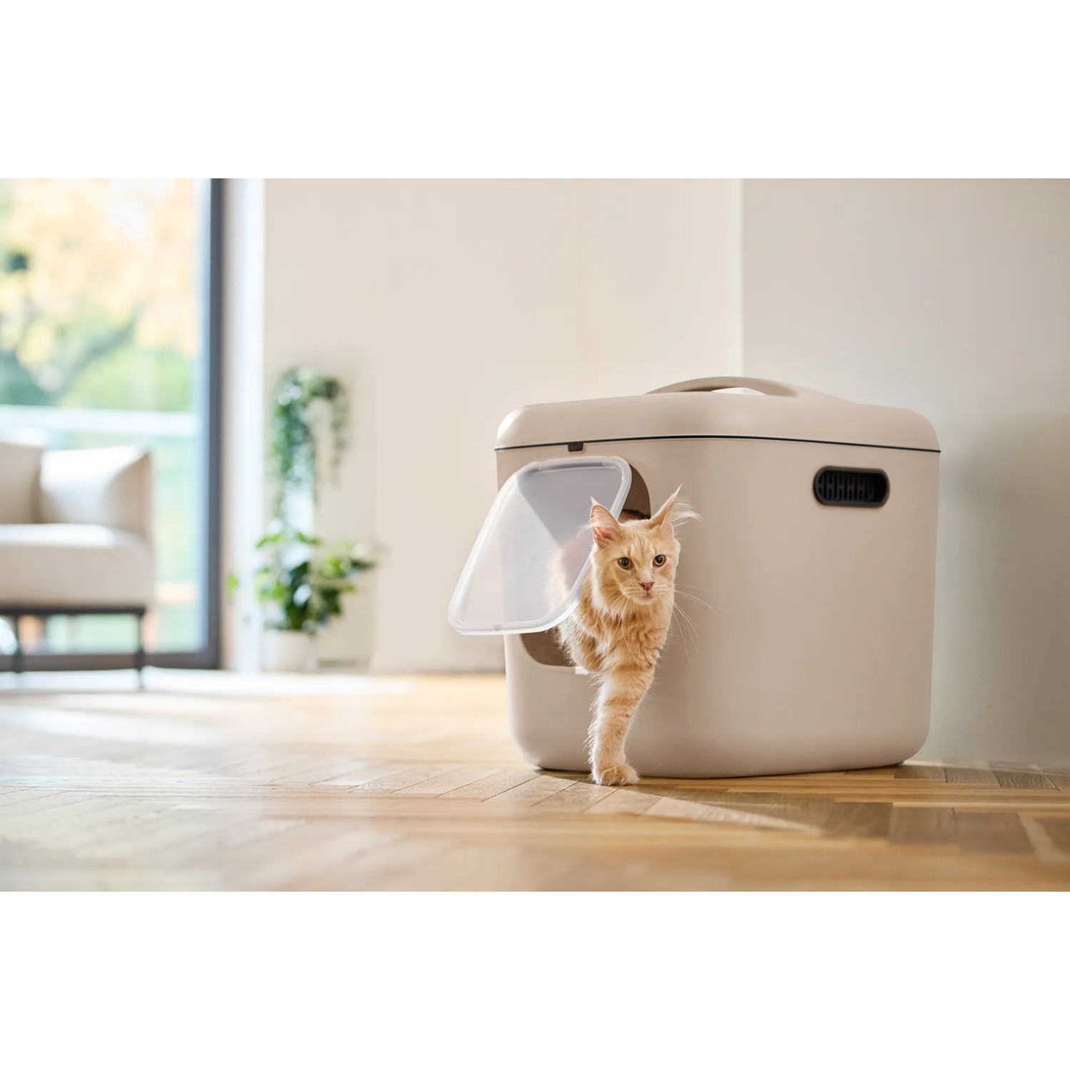 Rotho Katzentoilette Biala XL in Cappuccino mit Katze, geruchsneutral mit Filter.
