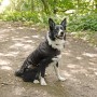 Schwarzer Heim RAC Regenmantel Gr. S für Hunde mit Fleece-Futter. Wasserdicht und bequem.