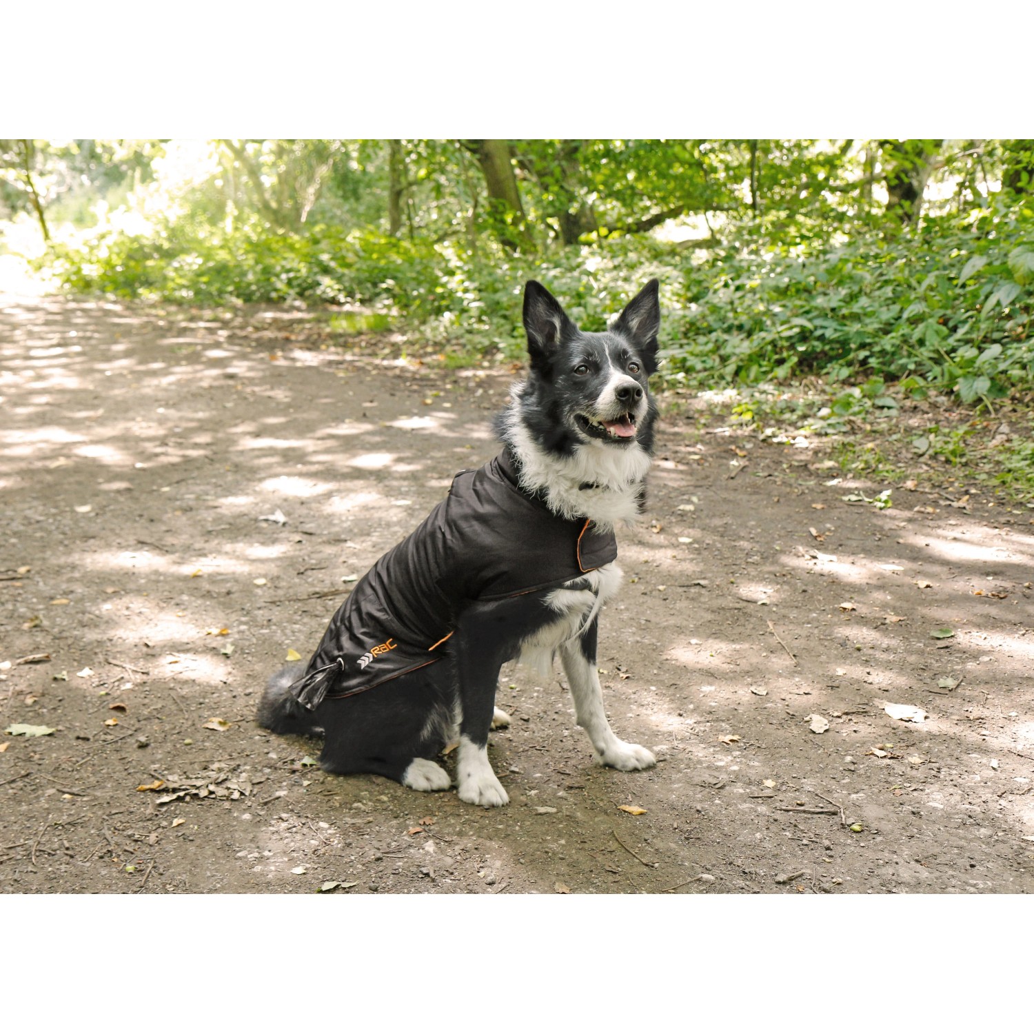 Schwarzer Heim RAC Regenmantel Gr. S für Hunde mit Fleece-Futter. Wasserdicht und bequem.