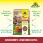 Neudorff Urgesteins-Mehl 2,5 kg Packung. Bodenhilfsstoff aus Diabasgesteinsmehl für Bodenfruchtbarkeit, Rasen und Pflanzen.