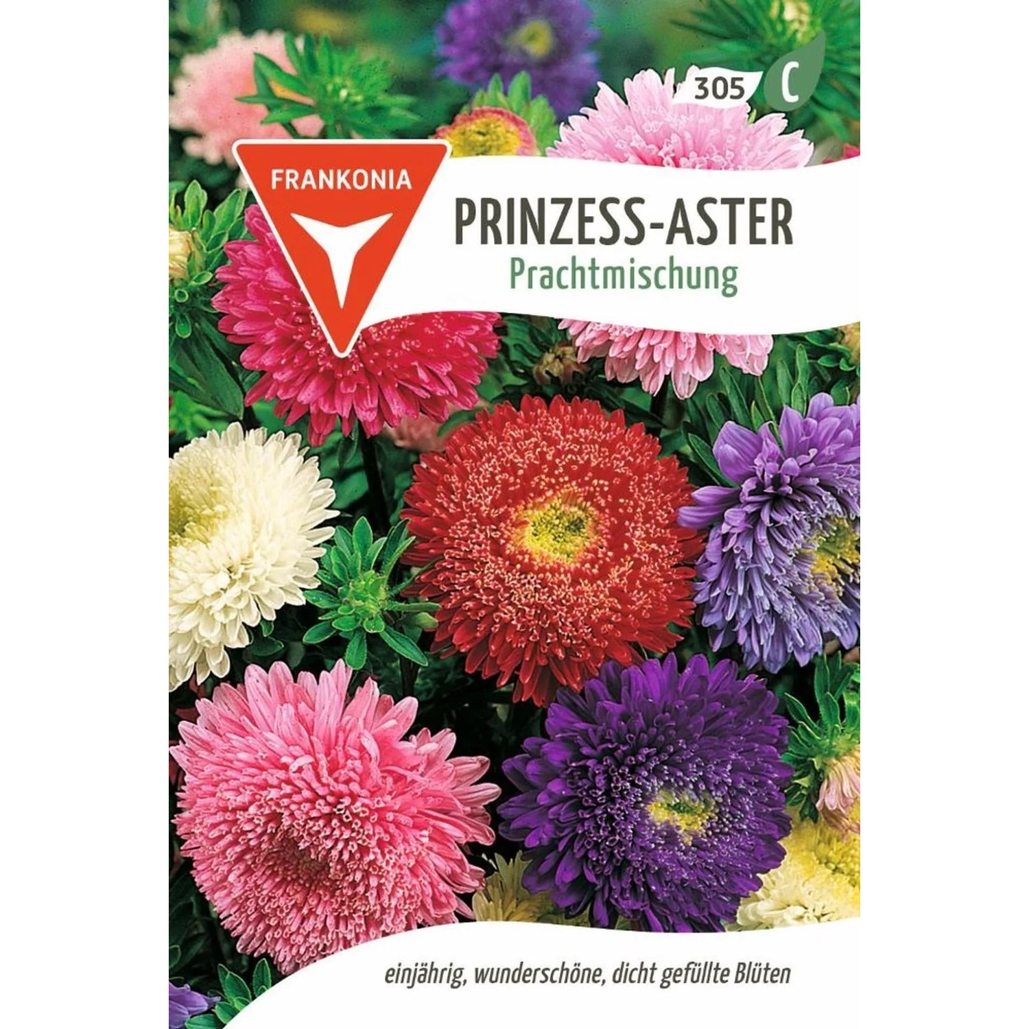 FRANKONIA Prinzess-Aster Prachtmischung