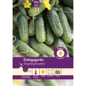 Pabst Keimkraft Einlegegurken Saatgut, Sorte Vorgebirgstrauben, grüne Gurken und gelbe Blüten.