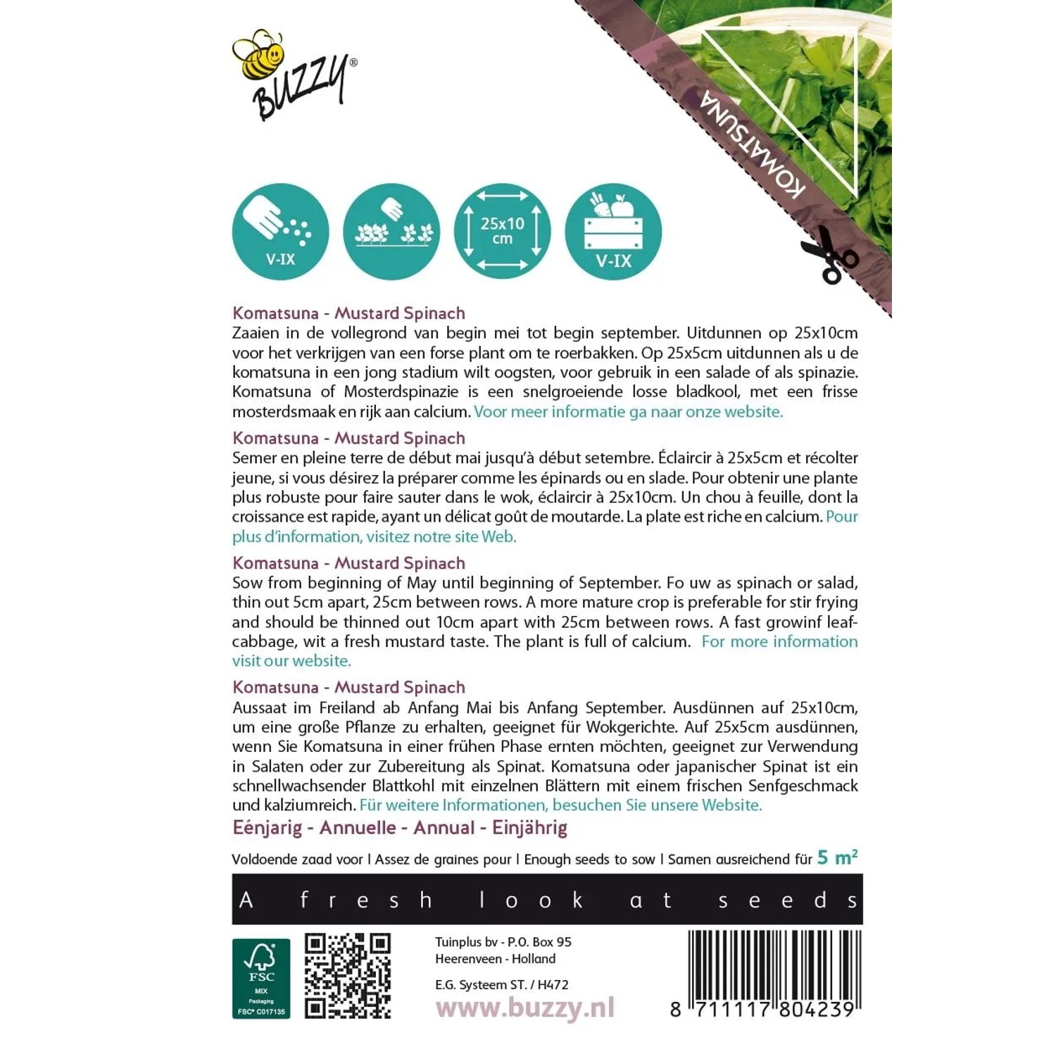 Buzzy Xotica Komatsuna Mustard Spinach SamenCa. 3 grAussaat im Freiland von Anfang Mai_2