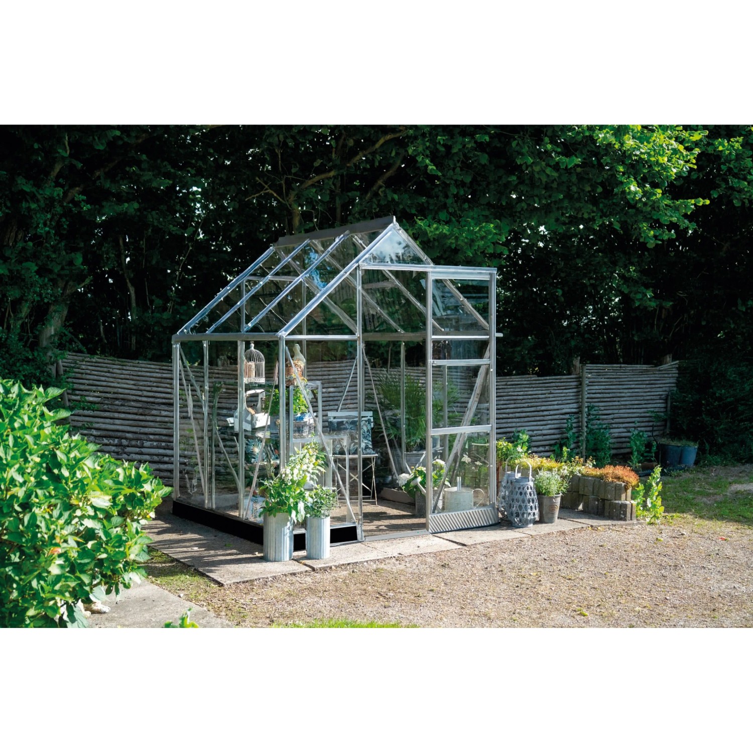 Halls Gewächshaus Icon 6 Alu 3,7 m² günstig online kaufen