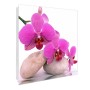 Weißer Schlüsselkasten mit Glasfront, Orchideen-Motiv, 50 Haken, beschreibbar, magnetisch.