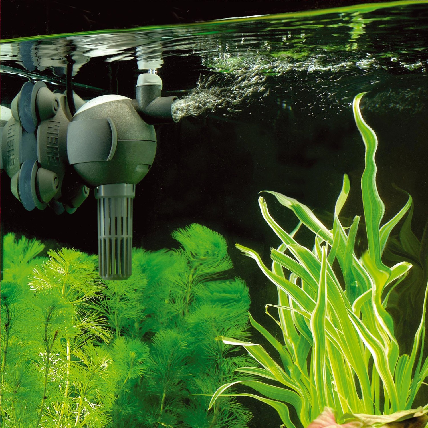 Eheim Aquaball Aquarium-Pumpe im Betrieb, sorgt für Wasserbewegung und Sauerstoffanreicherung.