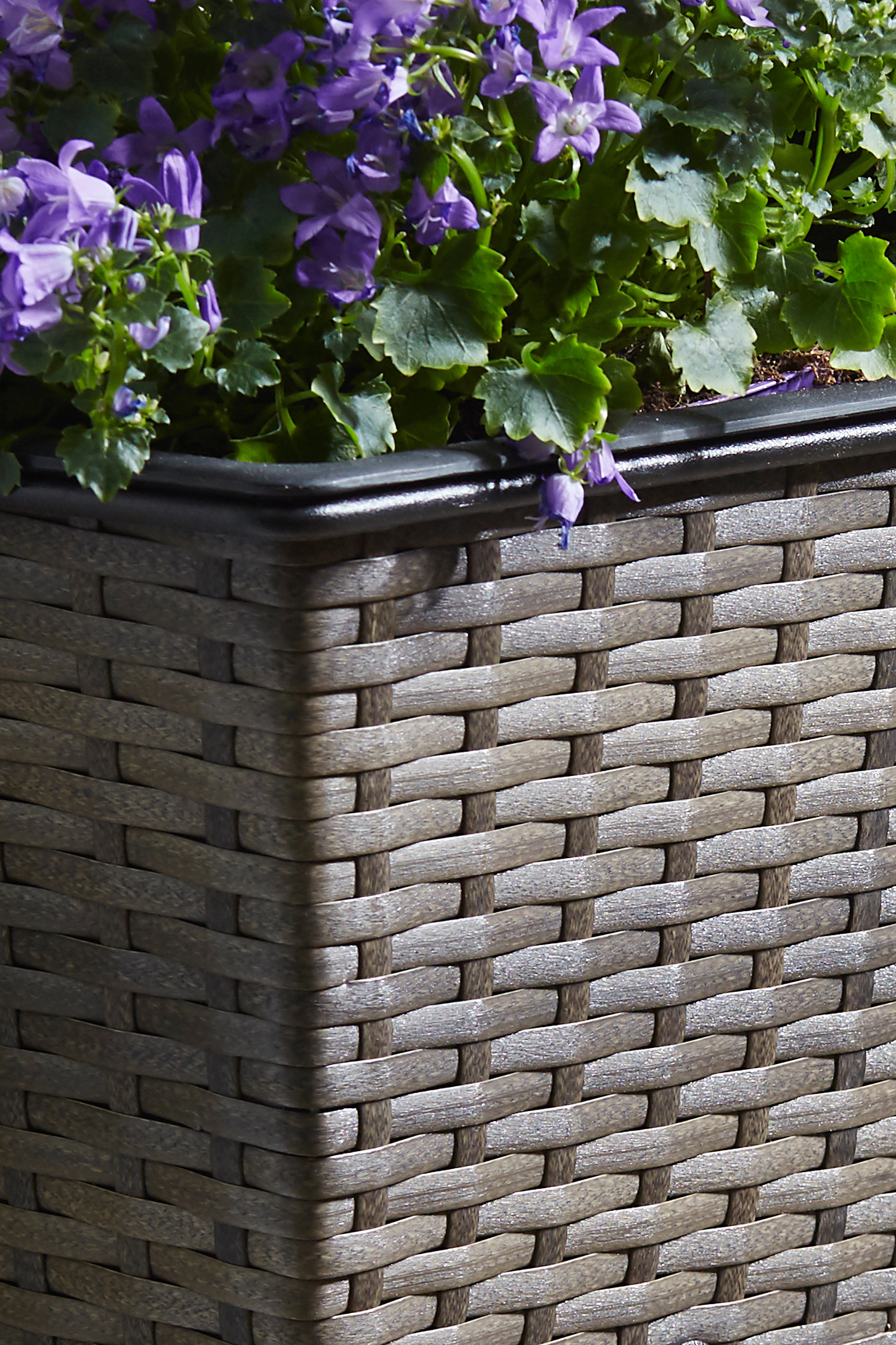 Gartenfreude Balkonkasten 50 cm x 19 cm Cappuccino mit Bewässerungssystem  kaufen bei OBI