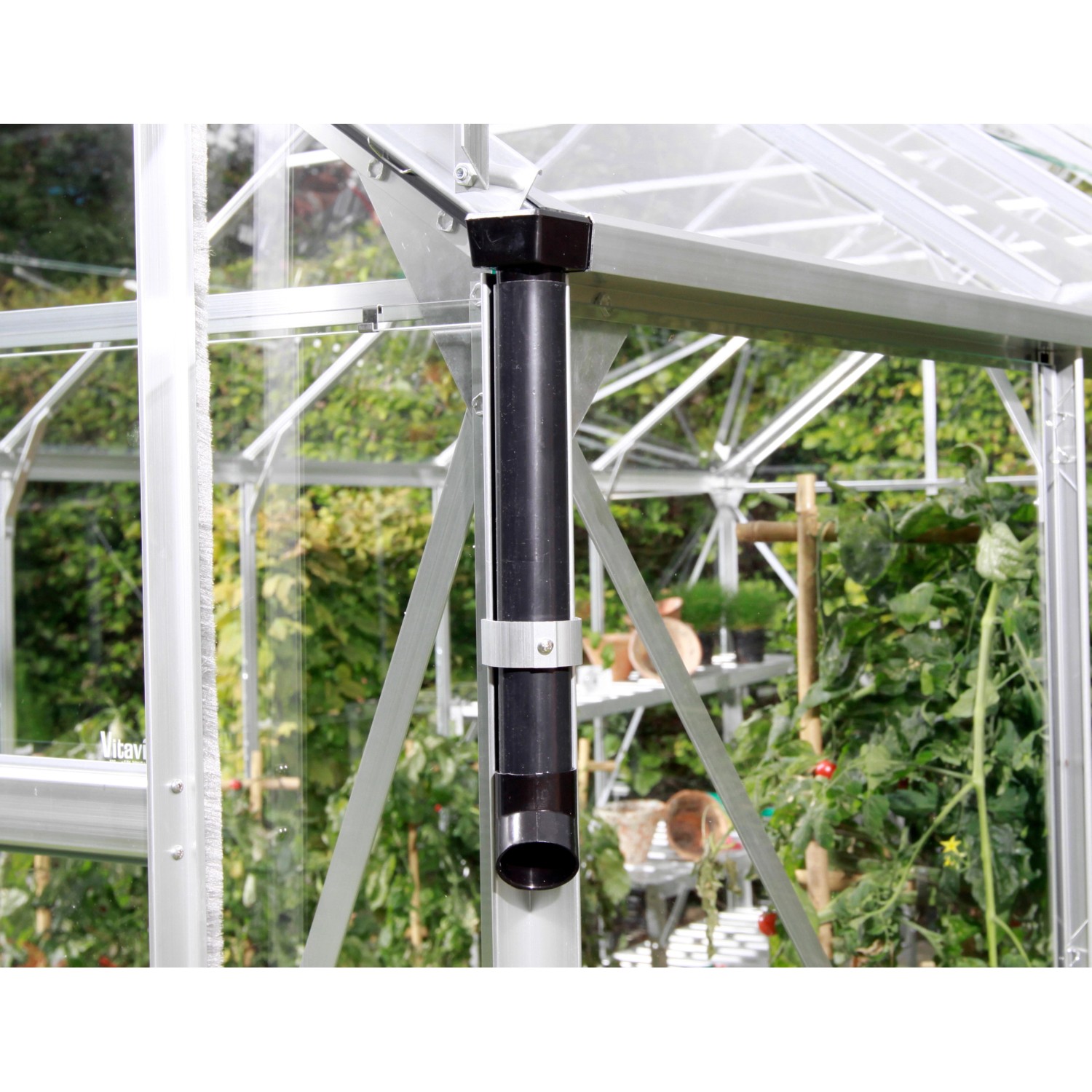 Detailaufnahme: Regenrohr am Vitavia Gewächshaus Apollo 2500 HKP Smaragd Vorzugsset.