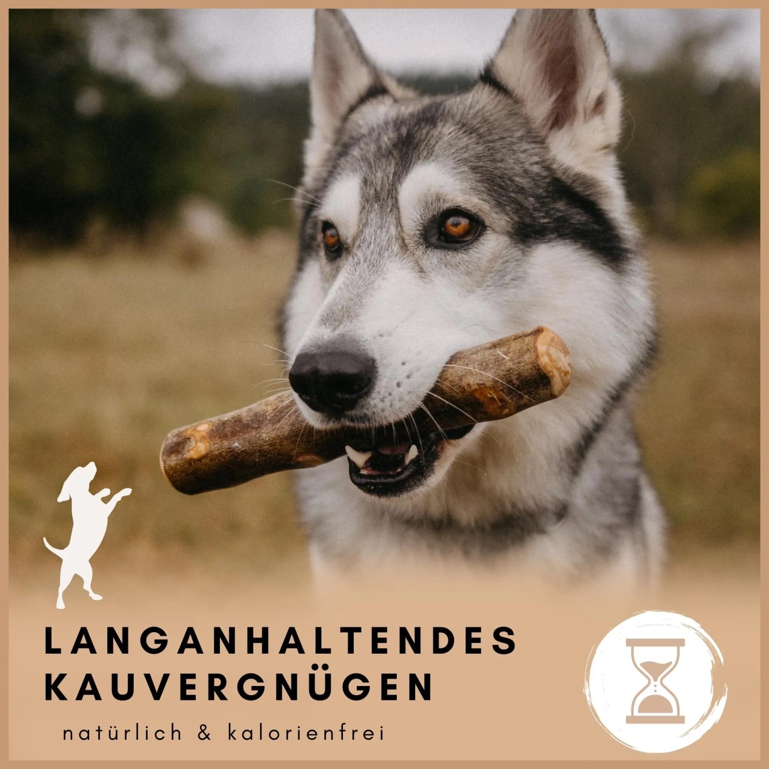 Supravit Olivenholz XS Kauspielzeug für Hunde_4