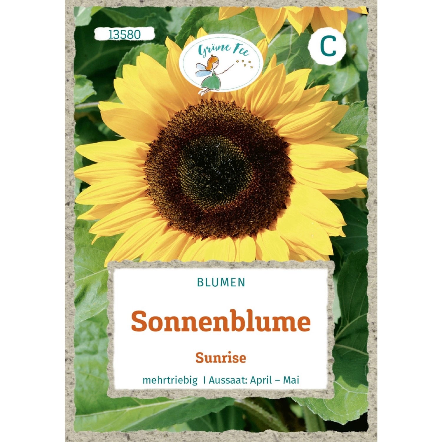 Grüne Fee Sonnenblume Sunrise Saatgut günstig online kaufen