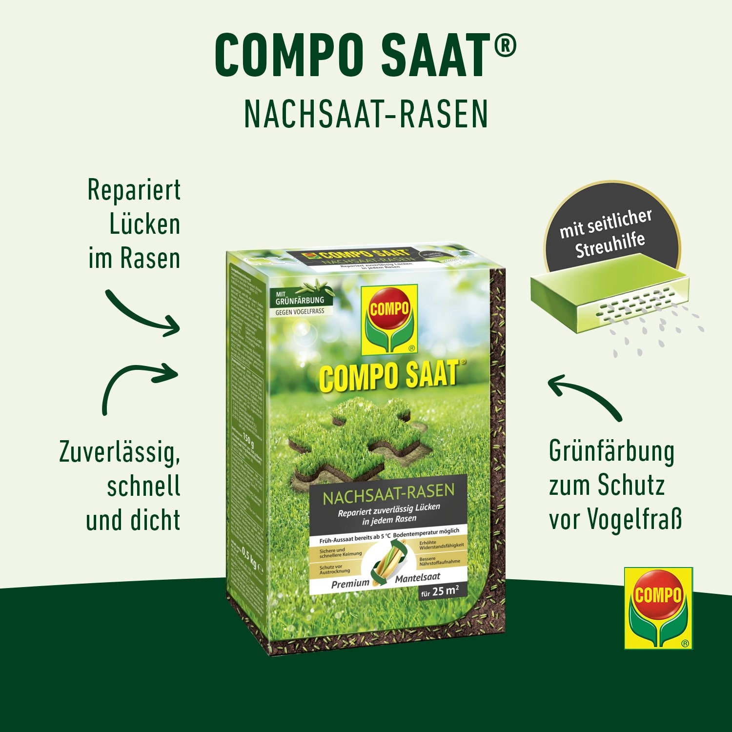Compo Saat Rasen-Nachsaat 500g: Packung Rasensamen zur Reparatur von Rasenflächen, mit Grünfärbung zum Schutz vor Vogelfraß.