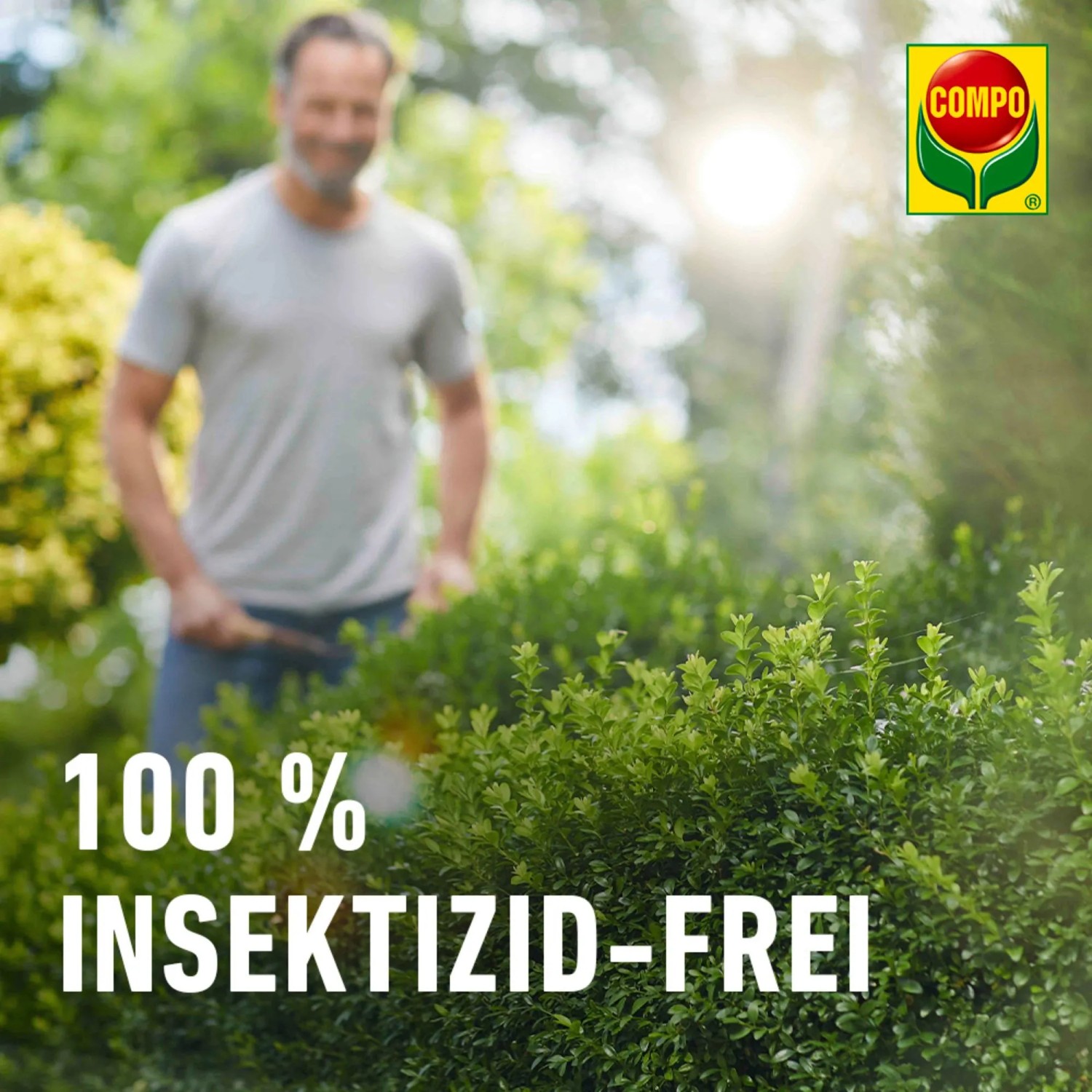 Compo BIO Buchsbaumznsler Falle Lockstoff 4 Stck kaufen bei OBI