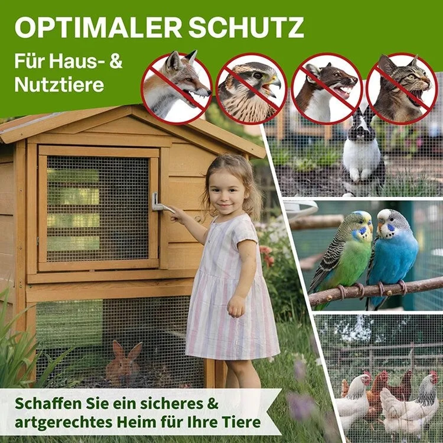 TTL GARDEN Wühlmausgitter 2,5m x 0,8m Verzinkt auf Rolle Drahtgitter Schutz für Hochbeet Rasen Pflanzen gegen Wühlmäuse_9
