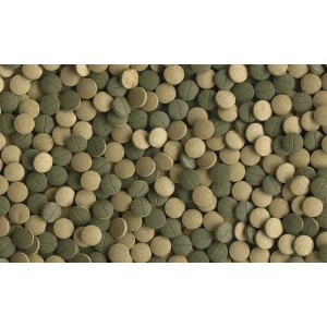 Tetra Pleco Tablets XL, Fischfutter-Tabletten für pflanzenfressende Bodenfische.