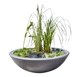 Heissner Solar-Wassergarten Lotusgarden mit Pumpe und Pflanzen, ideal als Teichdeko.