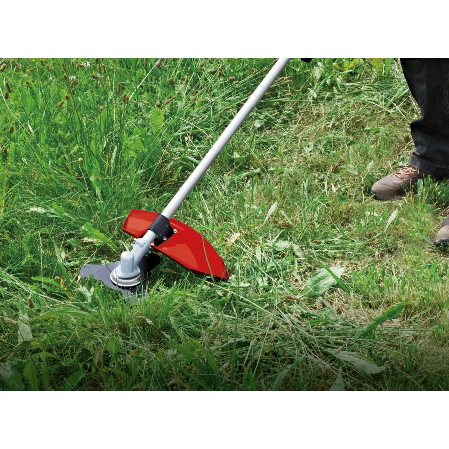 Einhell Benzin-Sense GC-BC 30/1 I AS im Einsatz, Freischneider mit rotem Schutzschild beim Rasen trimmen.