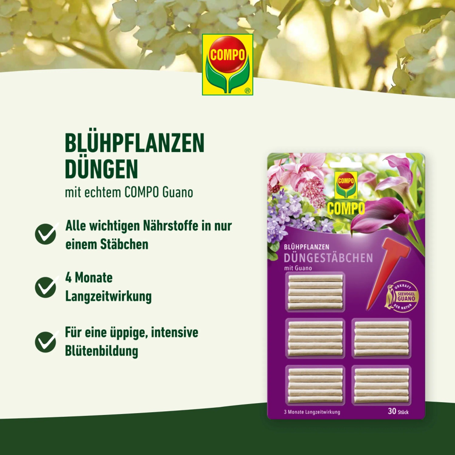 Compo Dngestbchen fr Blhpflanzen mit Guano 30 Stbchen kaufen bei OBI