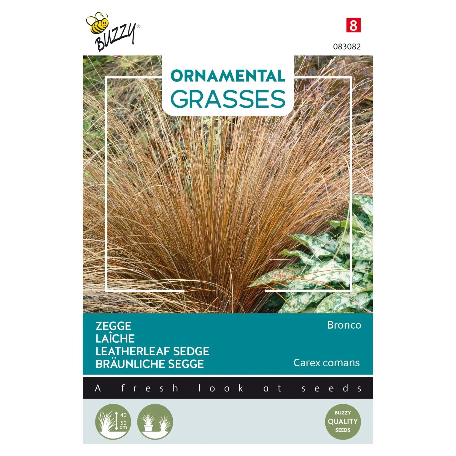 Segge 'Bronco' Buzzy Ornamental Grasses Samen Ca. 10 Samen Bronzefarbenes Laub