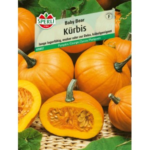 Sperli Kürbis Baby Bear, orange Mini-Kürbisse, essbar und dekorativ.