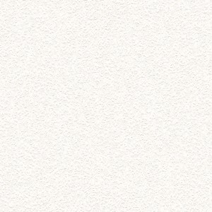 Weiße Bricoflor Papiertapete in Raufaser Optik für Wandgestaltung in Flur, Diele oder Büro.