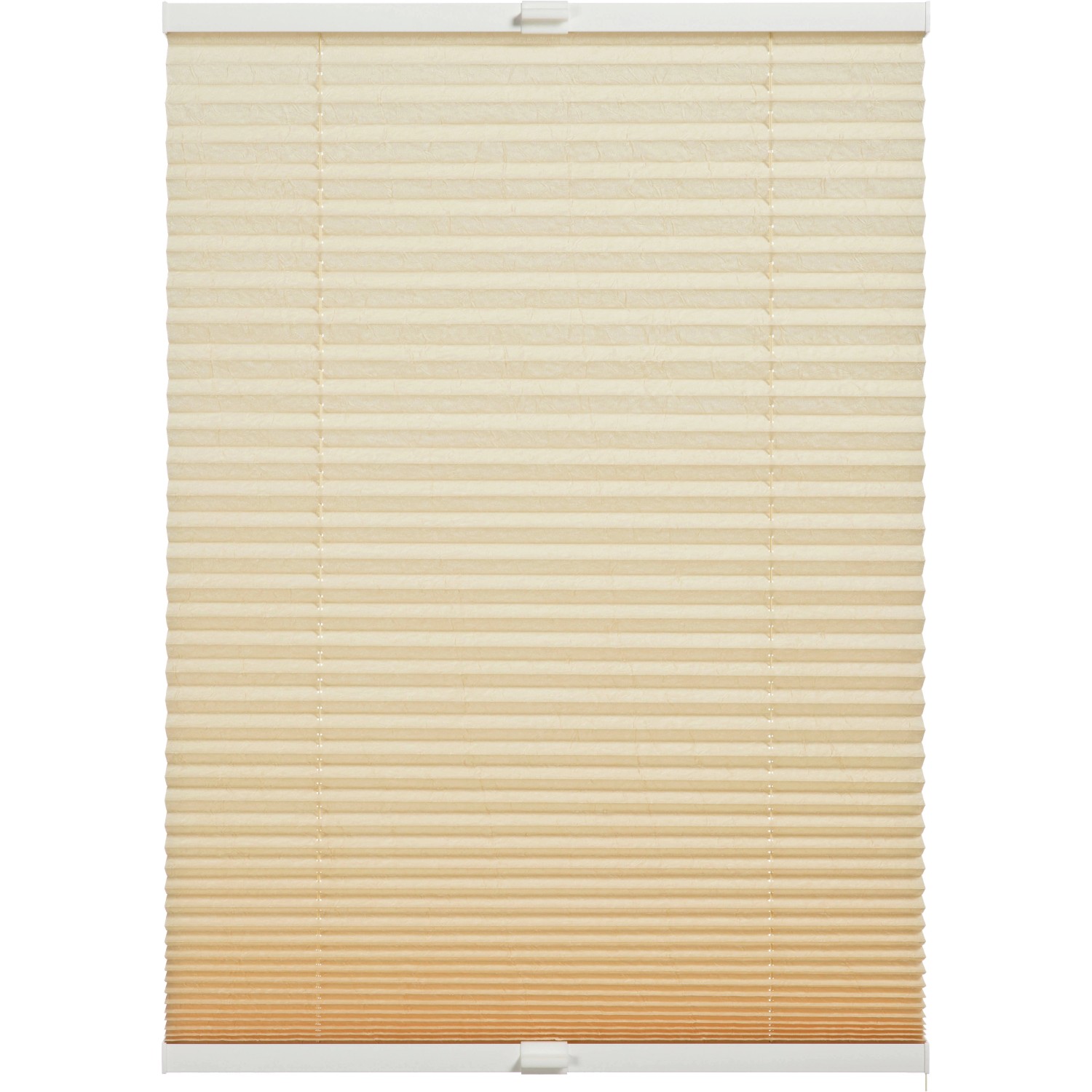 Schöner Wohnen Plissee Milla 50 cm x 130 cm Beige