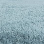 Blauer Ayyildiz Hochflorteppich Fluffy, 140x200 cm. Weicher Shaggy Teppich.