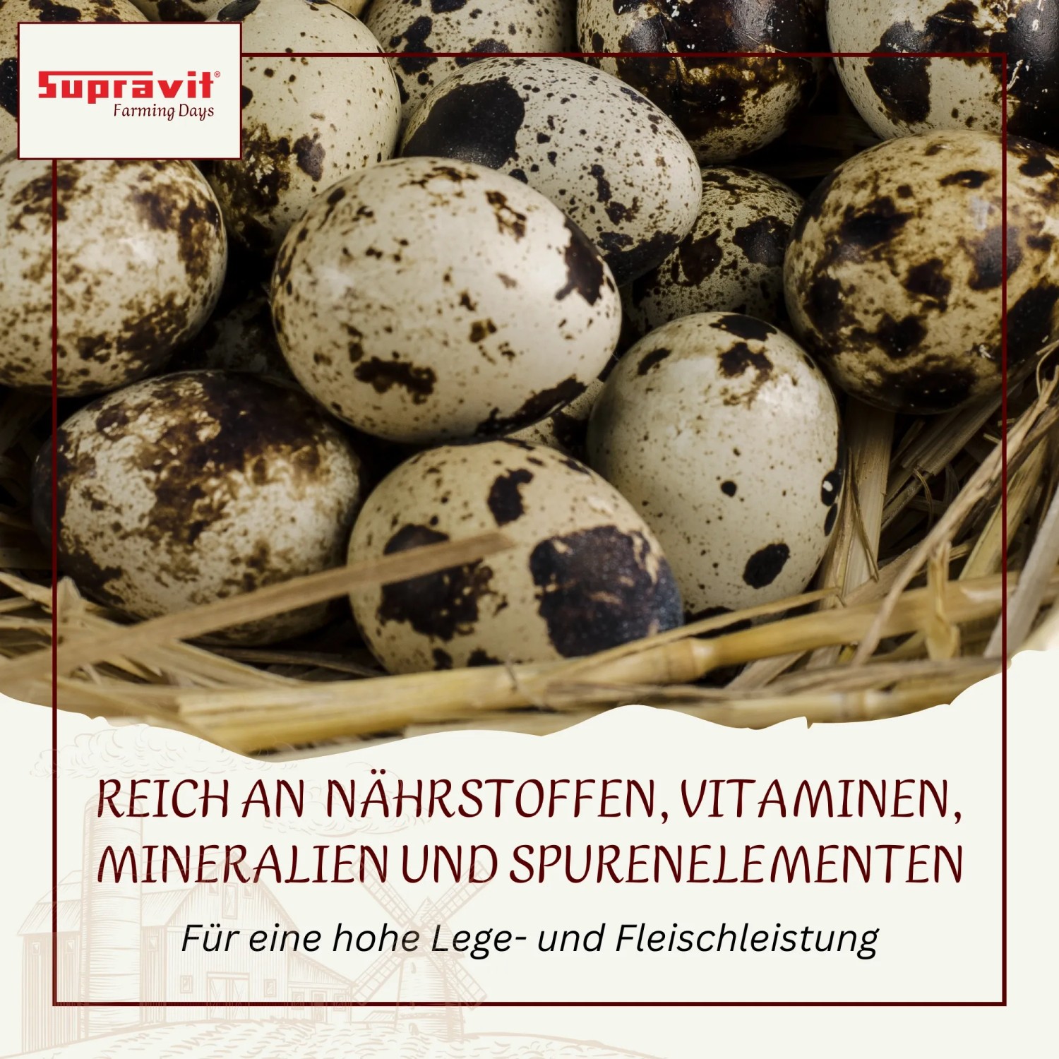 Supravit Geflügelkörnerfutter ohne Gentechnik Körnermischung für Geflügel_4
