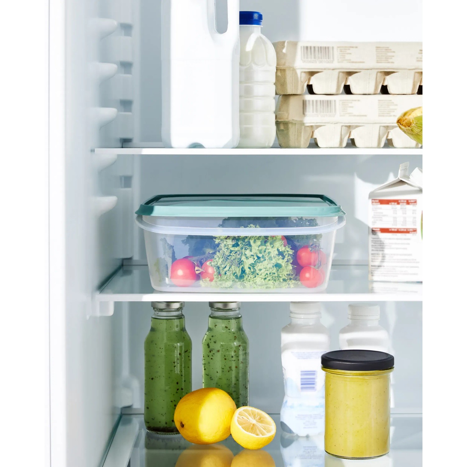 Rotho Kühlschrankdose Elements, 5 l, Mistletoe Green, im Kühlschrank mit Salat und Tomaten.