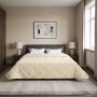 vidaXL Sommerdecke Creme 200 x 220 cm Mikrofaser und Teddy-Fleece 42026225_2