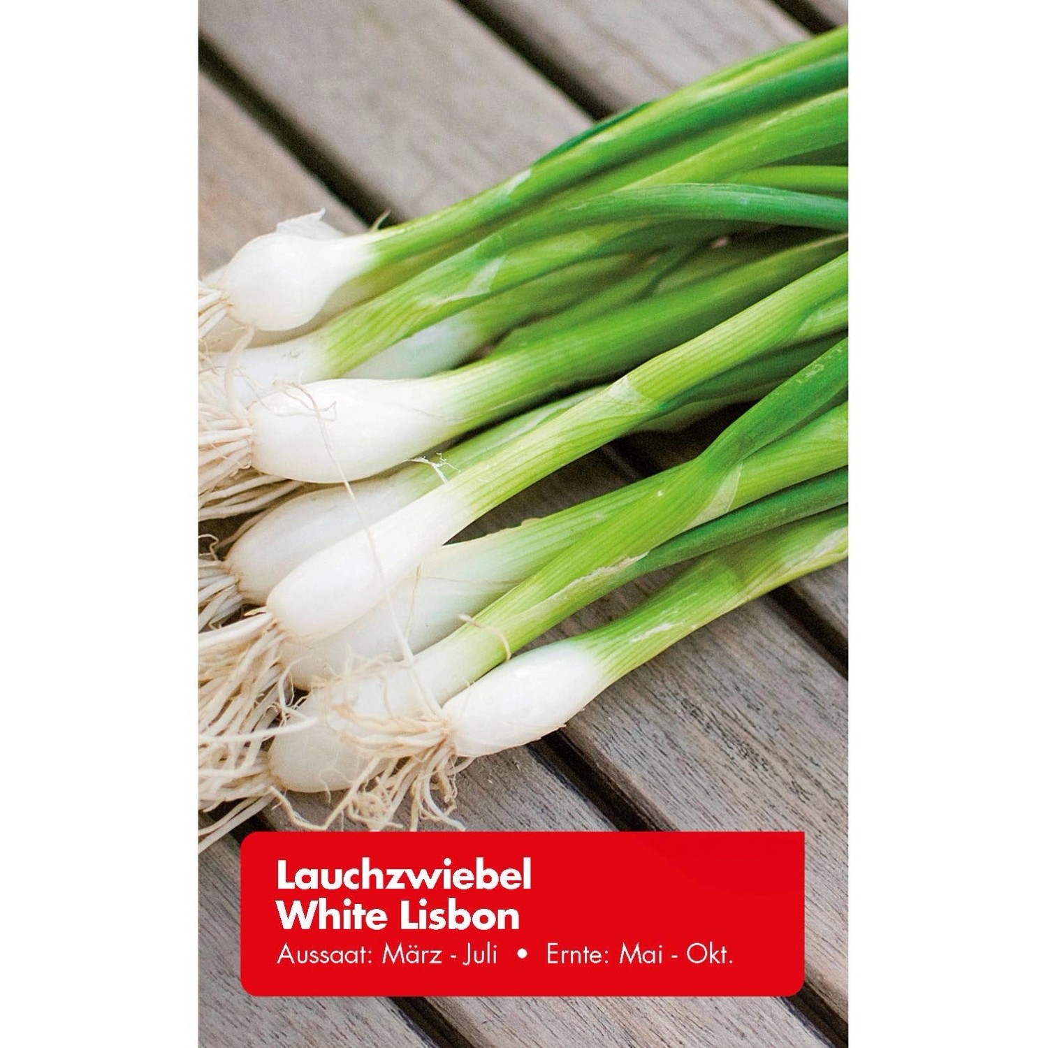 Lauchzwiebel White Lisbon