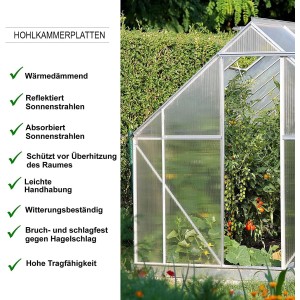 Transparente KARAT Doppelstegplatte (60,5x121cm) im Gewächshaus. Polycarbonat Stegplatte, 4mm stark.