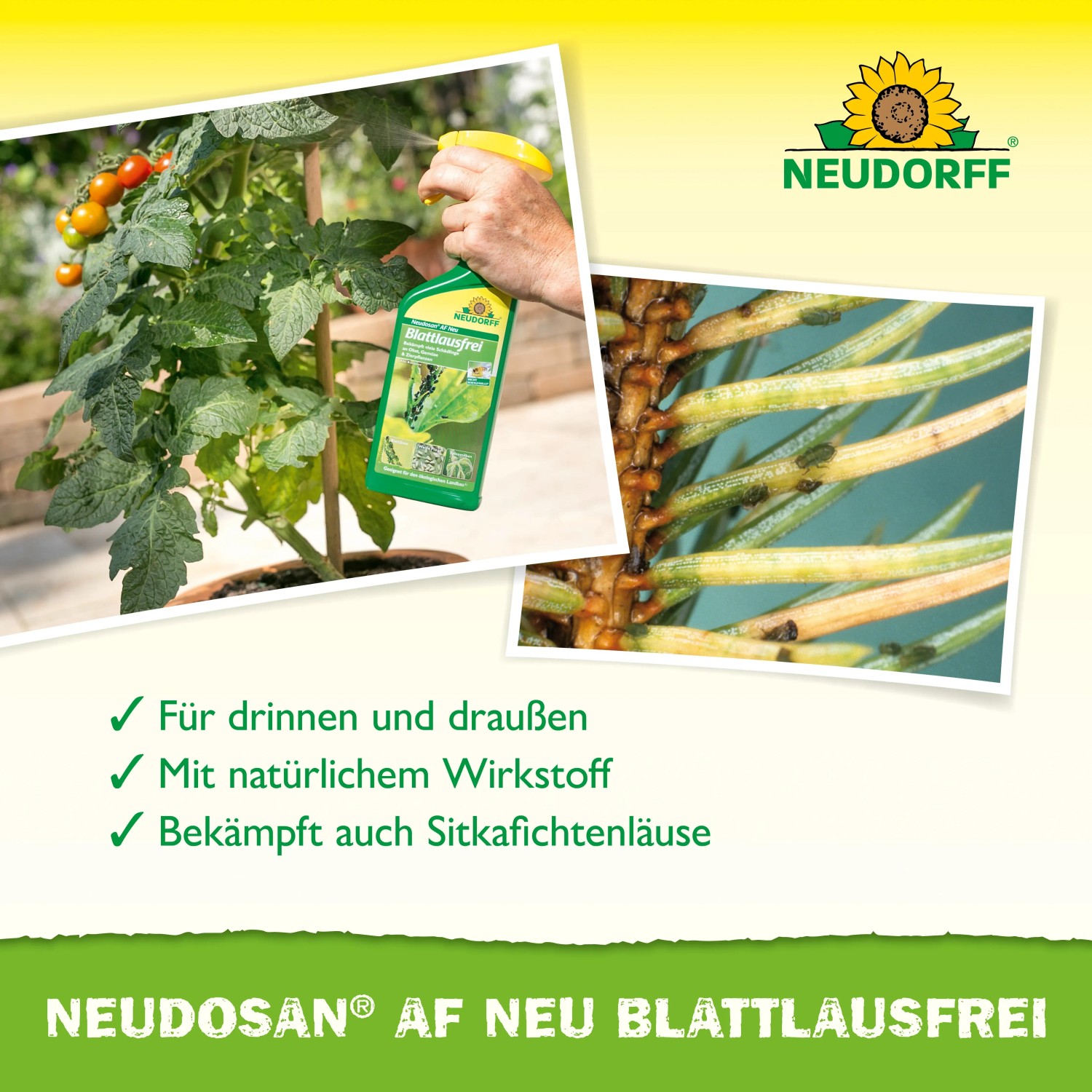 Neudorff Neudosan AF Neu Blattlausfrei 250ml: Sprühen gegen Blattläuse und saugende Insekten auf Pflanzen.