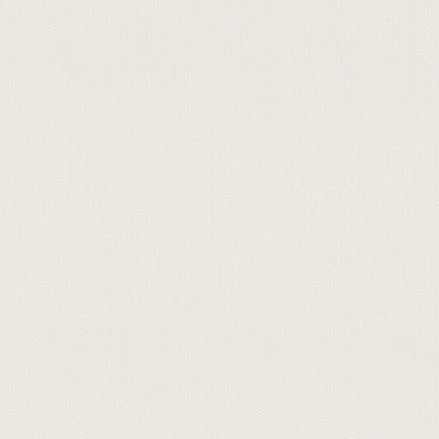 Helle, einfarbige Tadessi Vliestapete Uni M1 No 2061 in Grau für die Wandgestaltung.