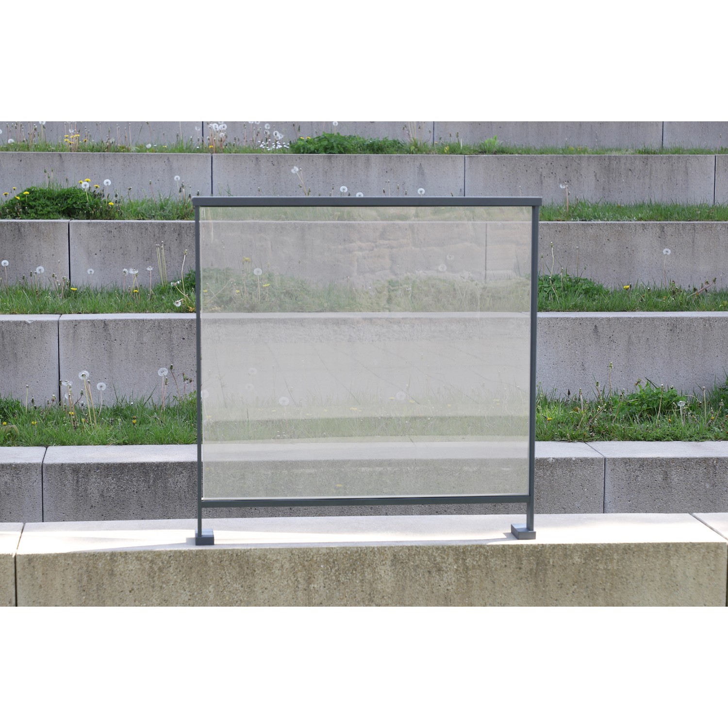 Dieda Linus Glasscheibe Füllung VSG 100 cm x 100 cm VSG 2 mm x 4 mm Weiß günstig online kaufen
