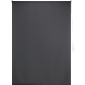 Graues Tageslicht-Rollo Zamora, 120x175 cm, für Sichtschutz ohne Verdunkelung.
