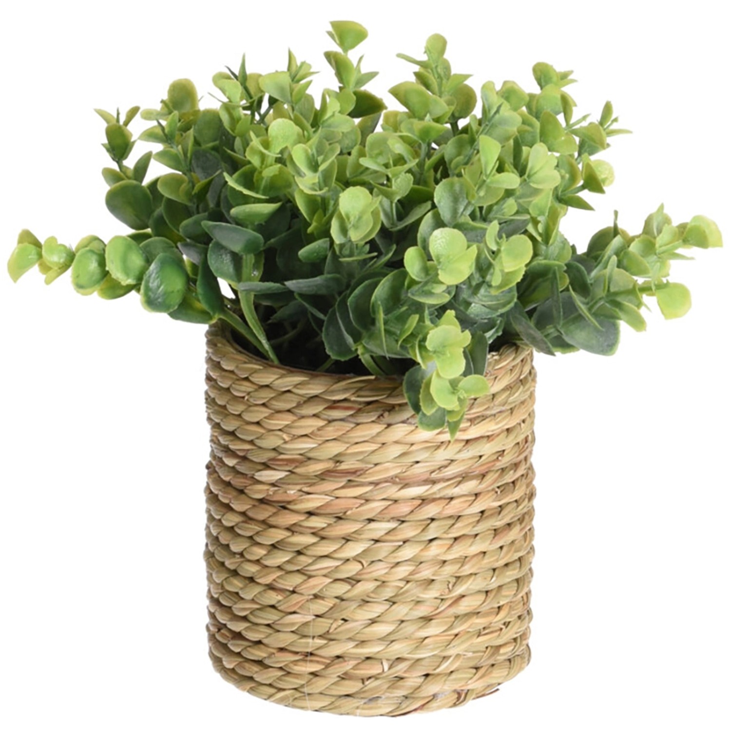 Kunstpflanze im Topf Grün Sortenauswahl günstig online kaufen