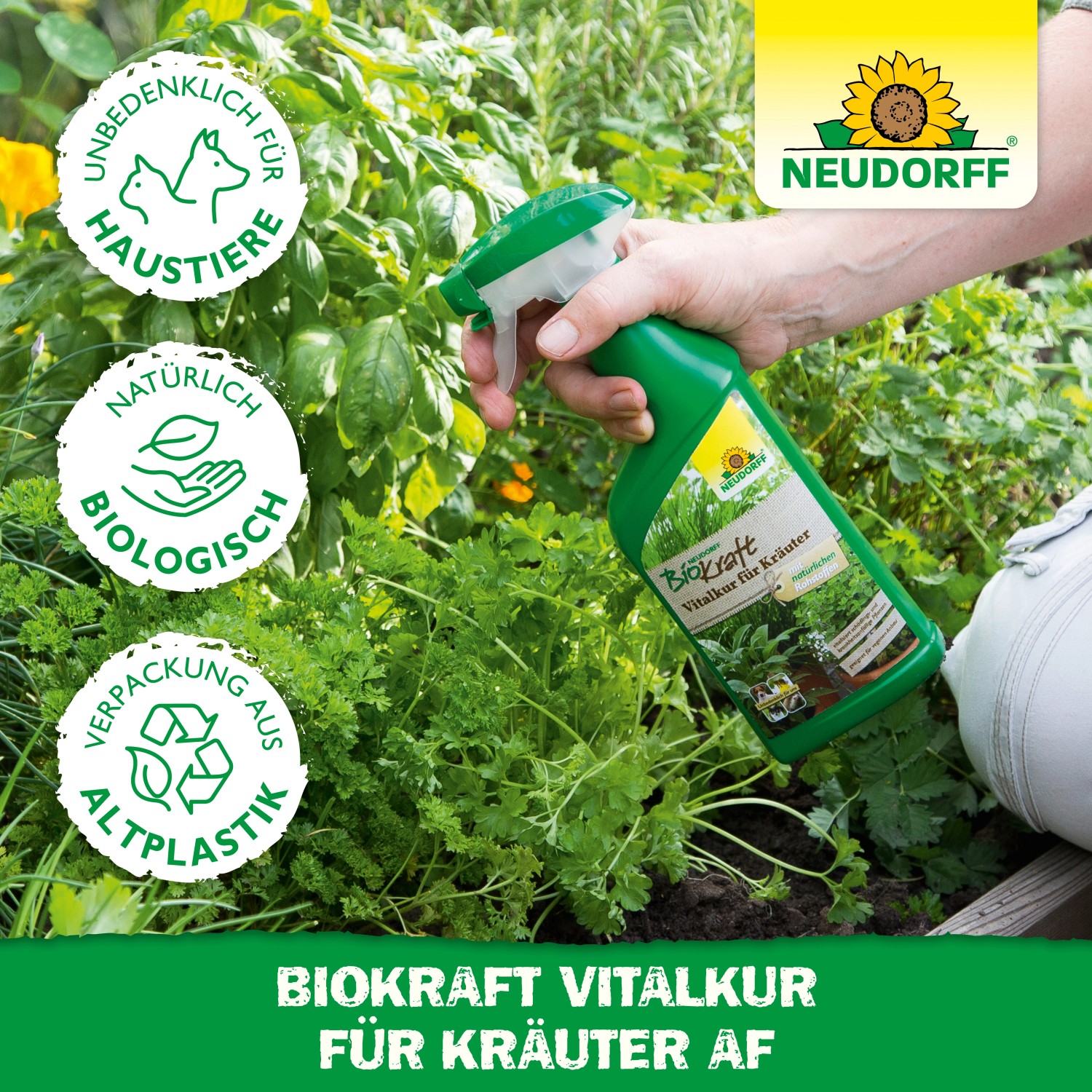 Neudorff BioKraft Vitalkur für Kräuter, anwendungsfertige Pflanzenstärkung im grünen Sprühflasche.