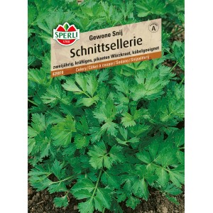 Sperli Schnittsellerie Gewone Snij, Gemüsesamen mit grünen Blättern.