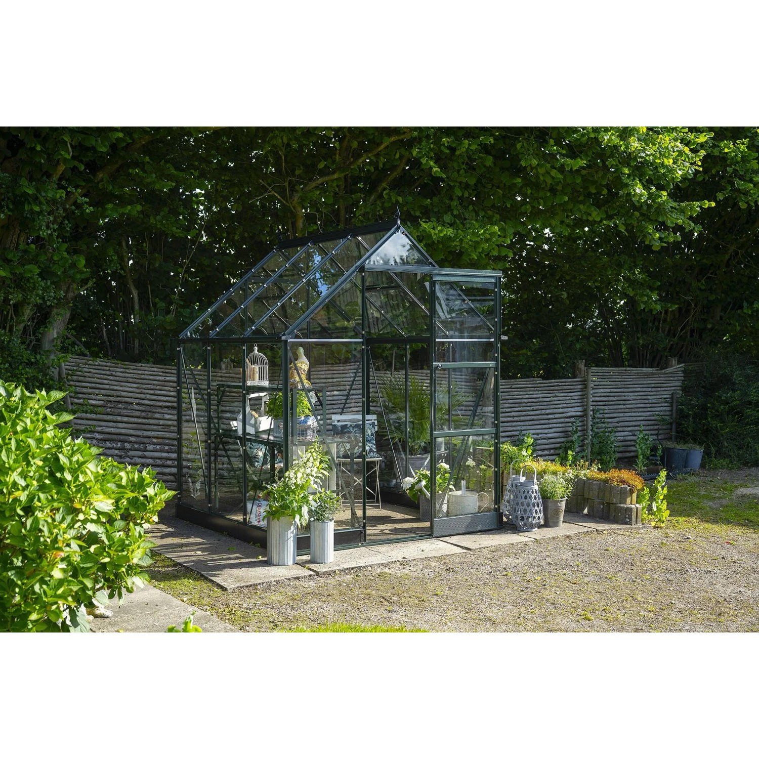 Halls Gewächshaus Icon 6 Grün 3,7 m²