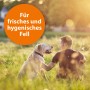 Mann streichelt Hund im Gras, orangefarbener Kreis "Für frisches und hygienisches Fell". Ardap Anti-Zecken-Shampoo.