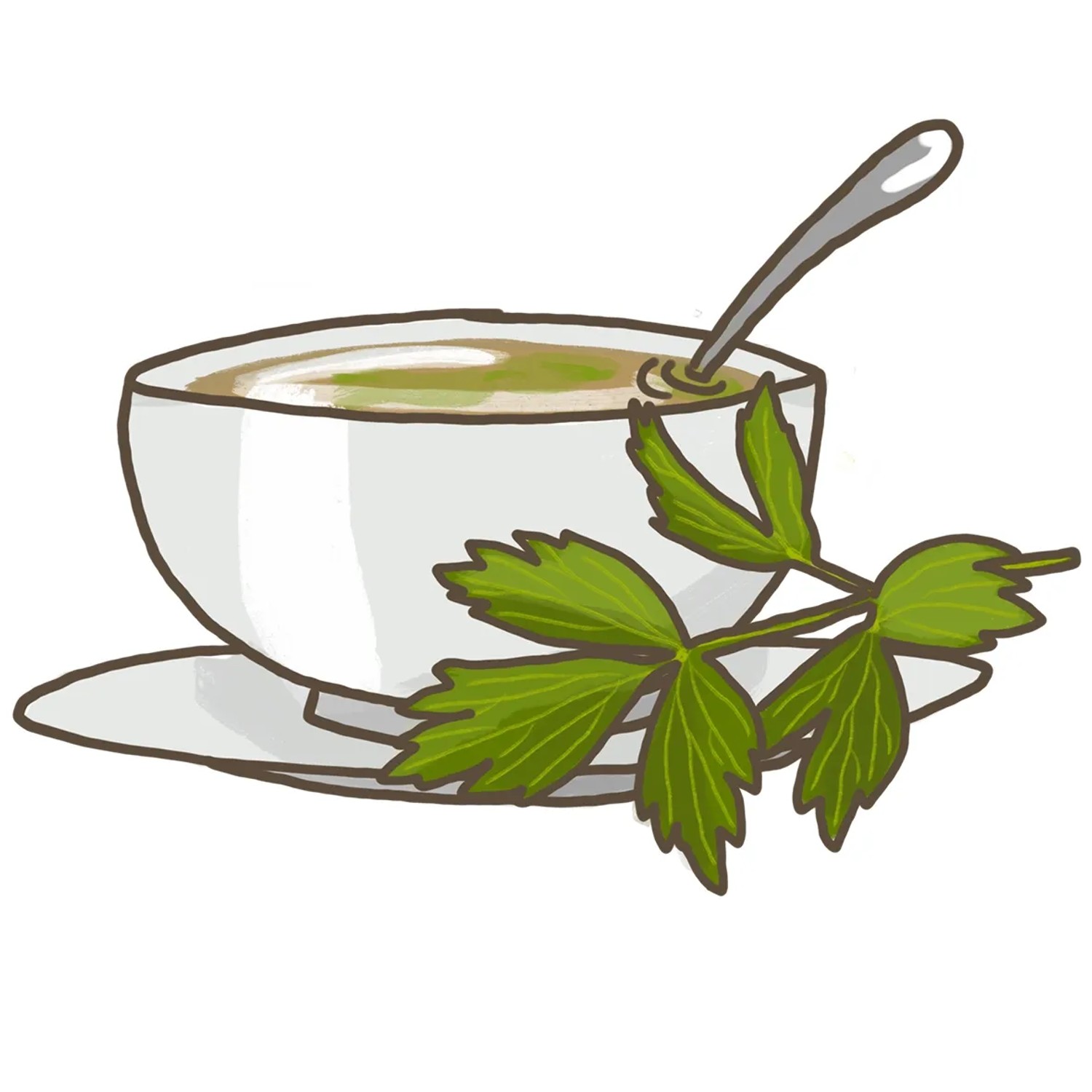 Illustration: Suppe mit Liebstöckel (Maggikraut) in Tasse mit Löffel. Küchenkraut für Suppen.