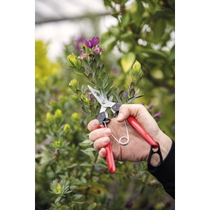 Felco Ernteschere 322 schneidet Blüte. Gartenschere mit Stahlgriffen, 19 cm.